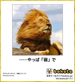 【スギちゃん】暑さ寒さも彼岸まで。秋に向かうぜぇ