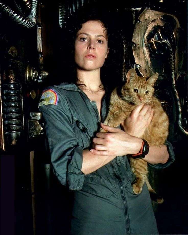 映画のキャラクターの画像を貼って知っていたらプラスを押すトピ