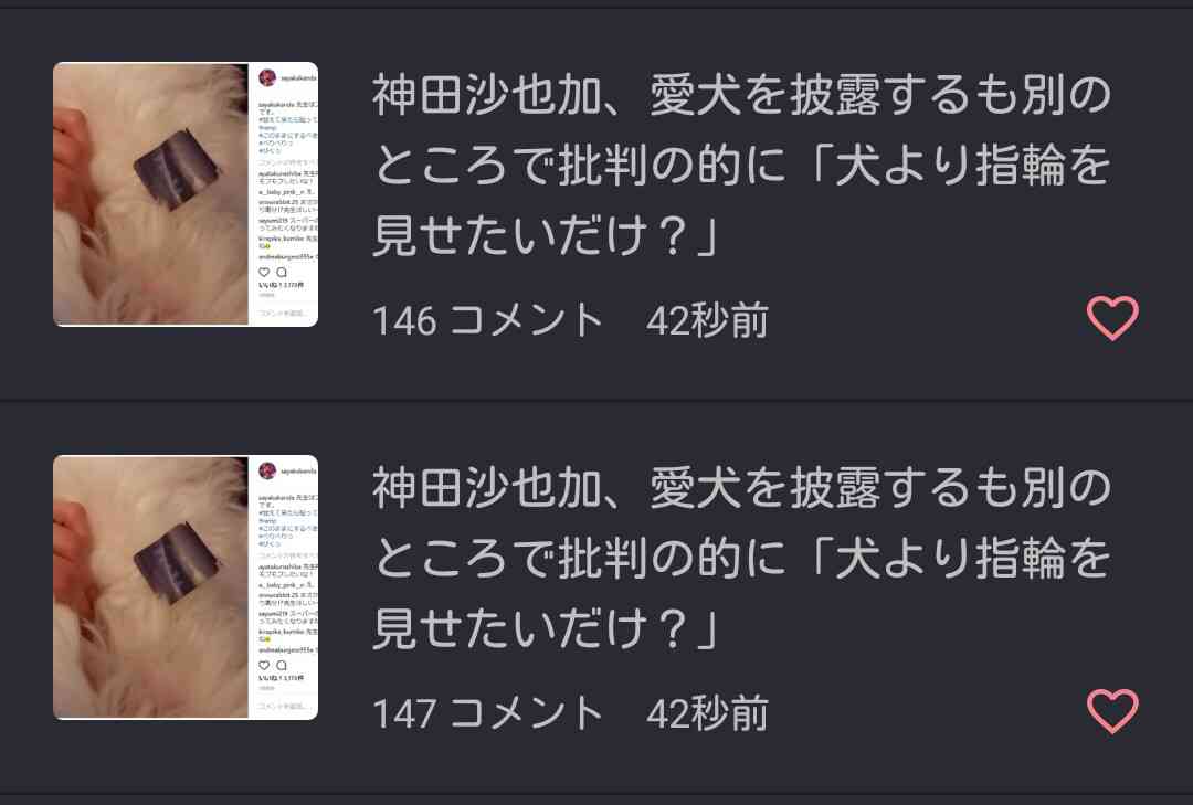 神田沙也加、愛犬を披露するも別のところで批判の的に「犬より指輪を見せたいだけ？」 
