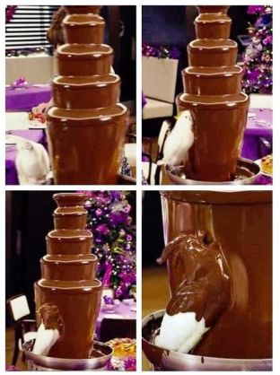 【ネタトピ】動物だけの○○会を開催