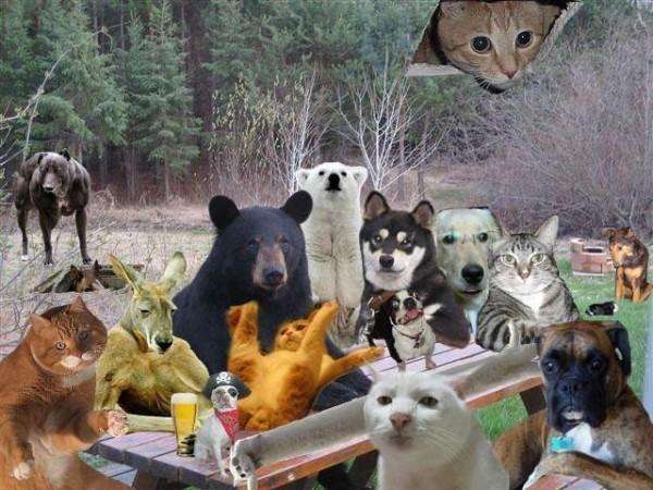 【ネタトピ】動物だけの○○会を開催