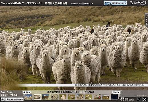 【ネタトピ】動物だけの○○会を開催