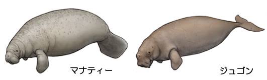 【ネタトピ】動物だけの○○会を開催