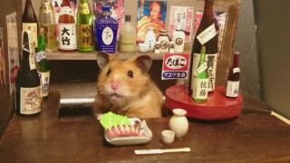 【ネタトピ】動物だけの○○会を開催