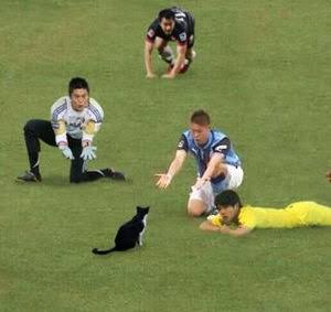がる民で力を合わせてこいつを倒すトピ