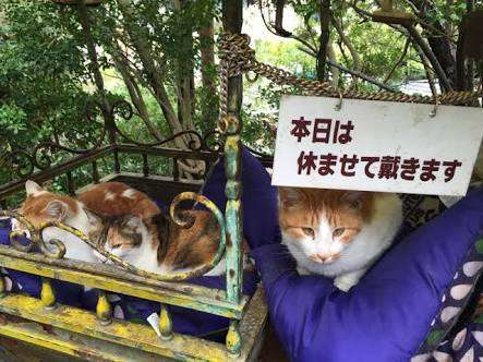 がる民で力を合わせてこいつを倒すトピ