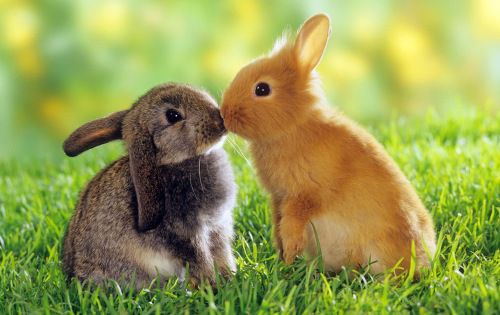 あなたにとって恋人はどんな存在ですか?