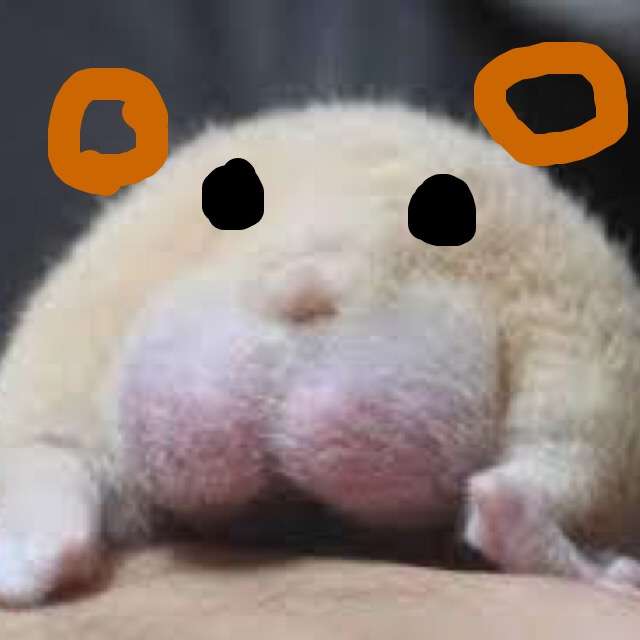 今年になってペットをお迎えした人