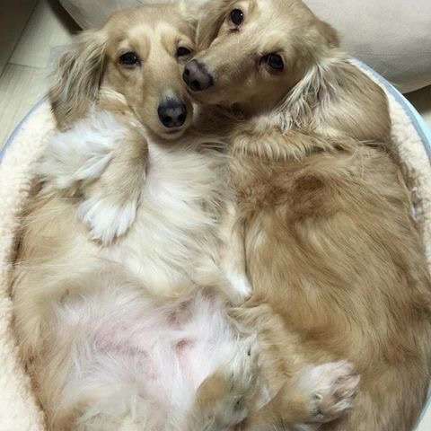 うらやましいな〜って夫婦・カップル