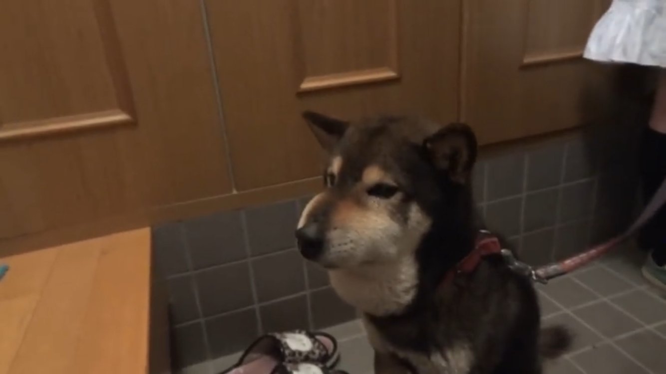 母が常にイライラしている