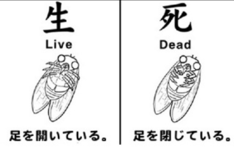 これだけは他人に絶対負けない自信がある事ってありますか