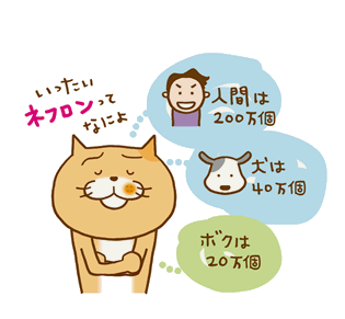ペットに人間の食べ物あげてますか?