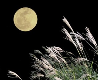 秋の夜長をのんびり過ごすトピ