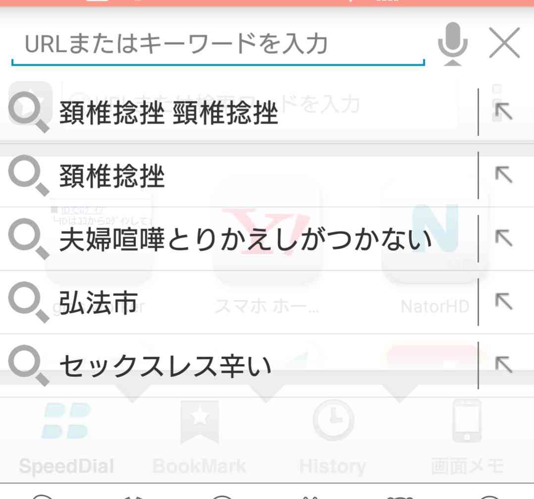 ビビらずに検索履歴を晒すトピ