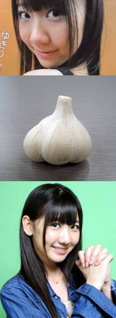 持ち物の英語を和訳するトピ