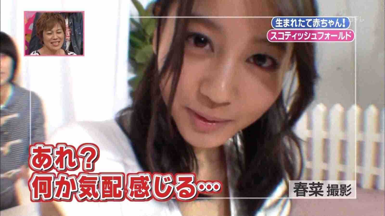 堀北真希さんが好きだった方
