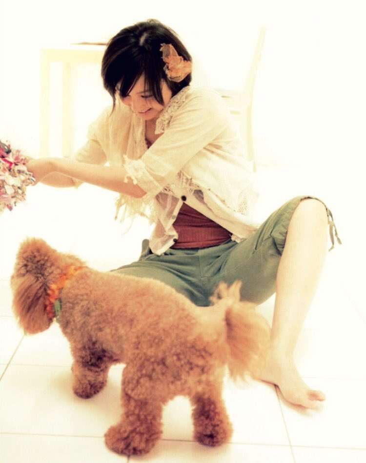 堀北真希さんが好きだった方