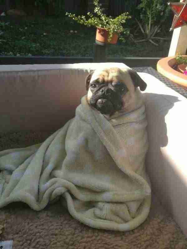 木村拓哉がテレビから消えた？露出激減で