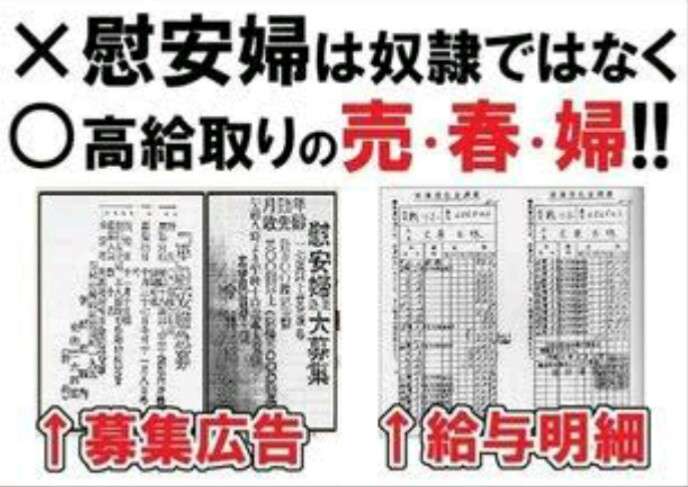 元慰安婦を「売春婦」と呼ぶと名誉毀損罪に、韓国で処罰規定づくりへ＝韓国ネットは否定的「真実も究明されてないのに」「名誉毀損で飯が食えるか！」