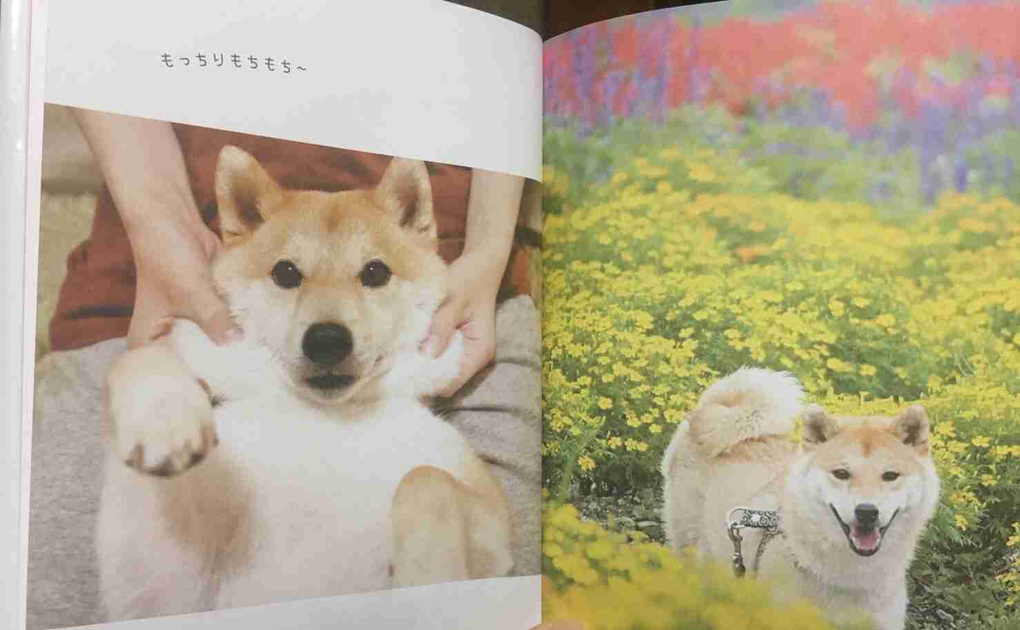 2018年の手帳、もう買った?