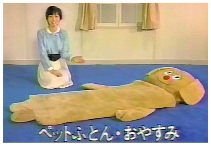 昭和の家あるある