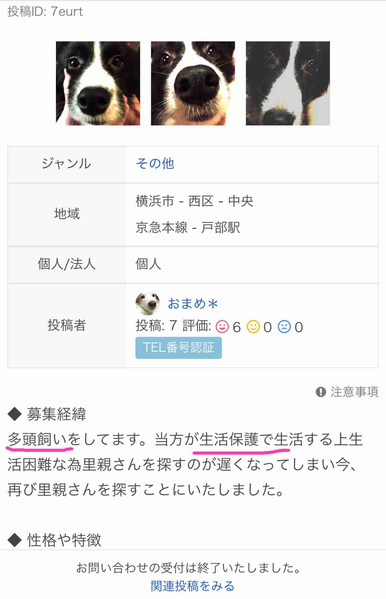 飼ってみたい犬種は何？