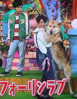 飼ってみたい犬種は何？