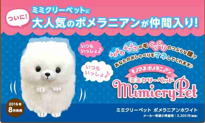 飼ってみたい犬種は何？