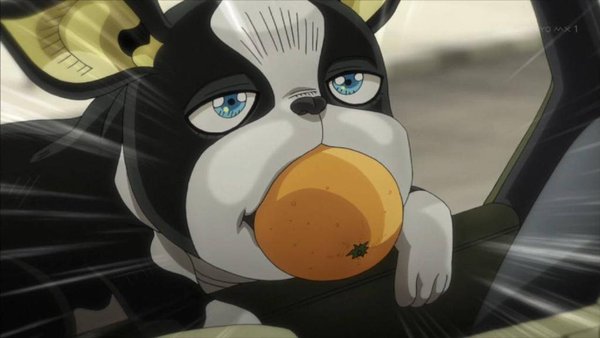 飼ってみたい犬種は何？