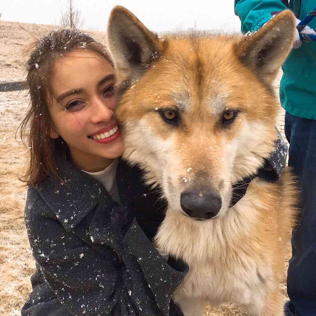 飼ってみたい犬種は何？