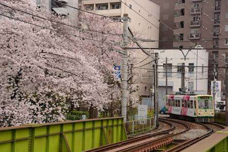 東京都あるある
