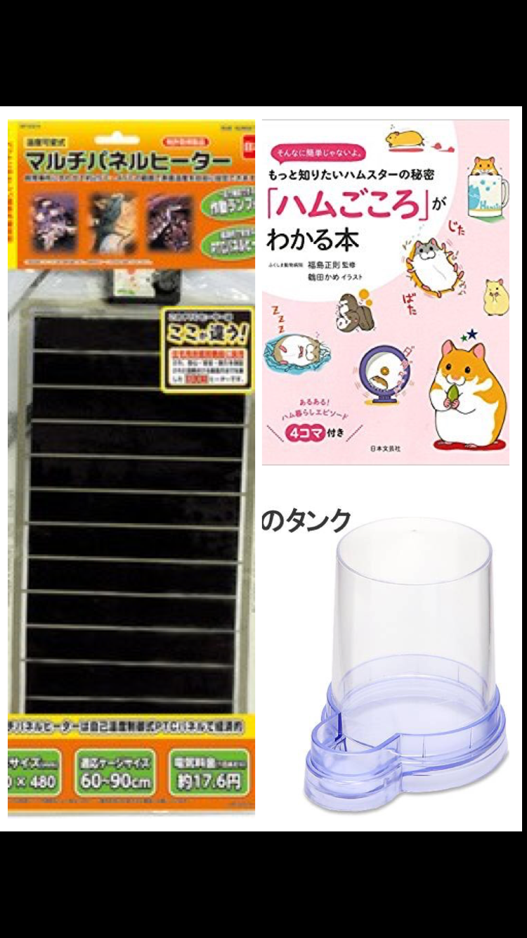 【冬】ハムスター飼育。先輩方からの意見求む!