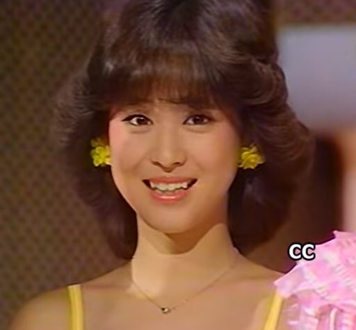 いろんな松田聖子が見たい
