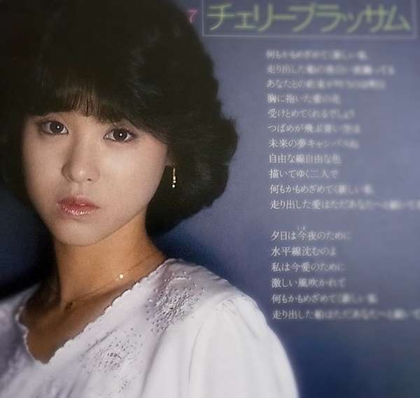いろんな松田聖子が見たい