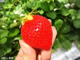 苺を使ったスイーツを貼るトピ