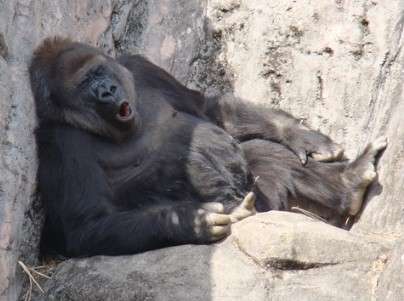 ガルちゃんなうな画像