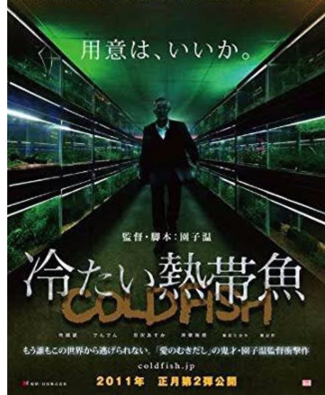 綺麗な熱帯魚の画像を貼るトピ♪