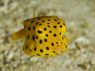 テーマが変っていく 画像トピ