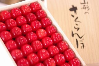テーマが変っていく 画像トピ