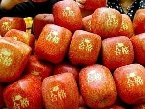 テーマが変っていく 画像トピ