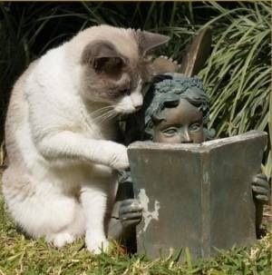 こんなところに猫が!って画像を貼っていくトピ