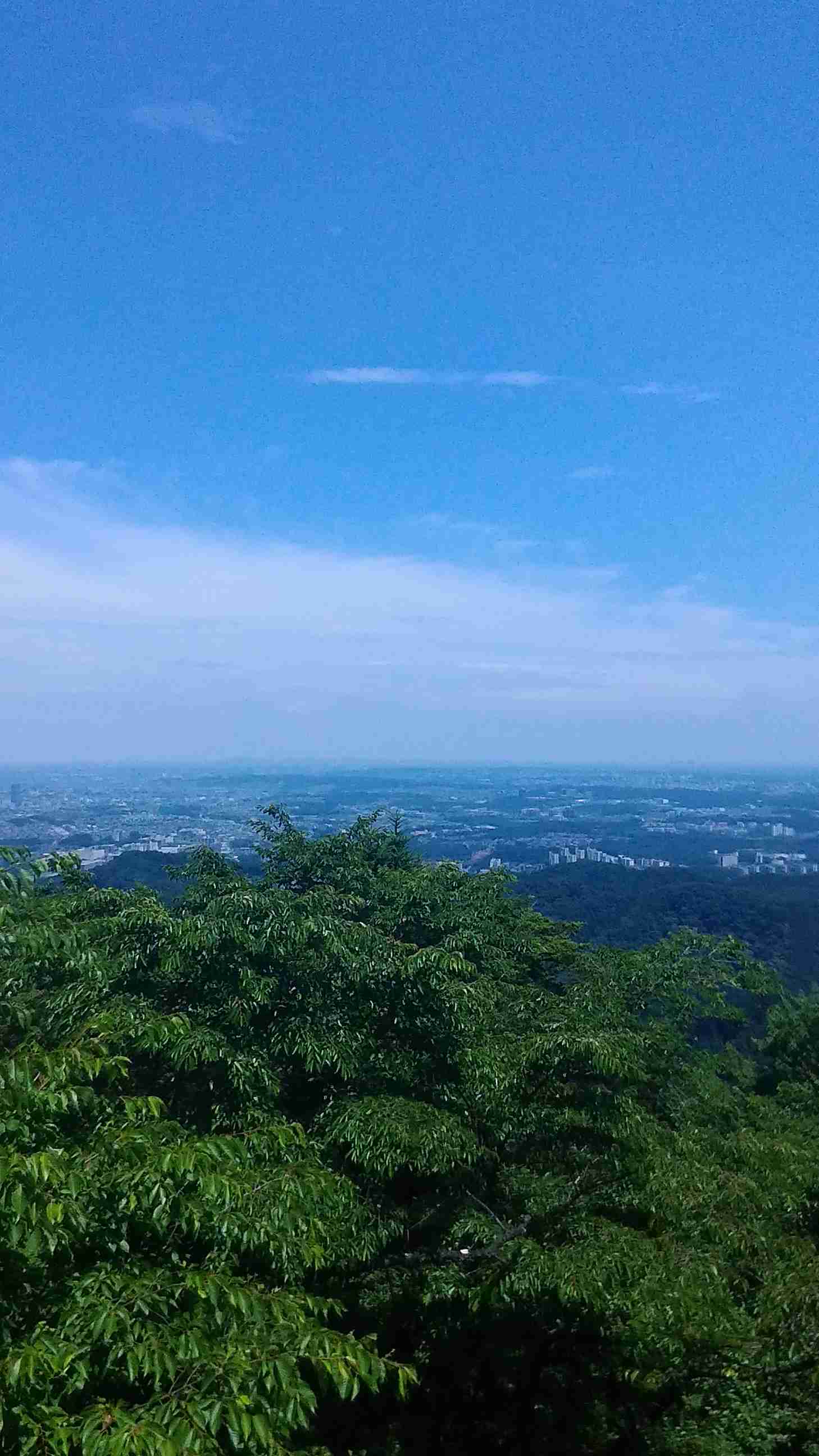 東京の画像を貼るトピ