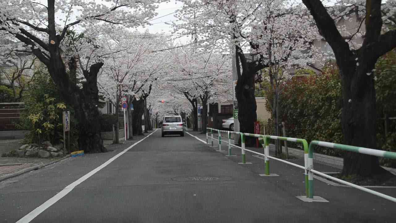 東京の画像を貼るトピ