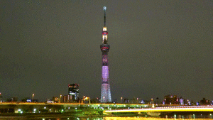 東京の画像を貼るトピ
