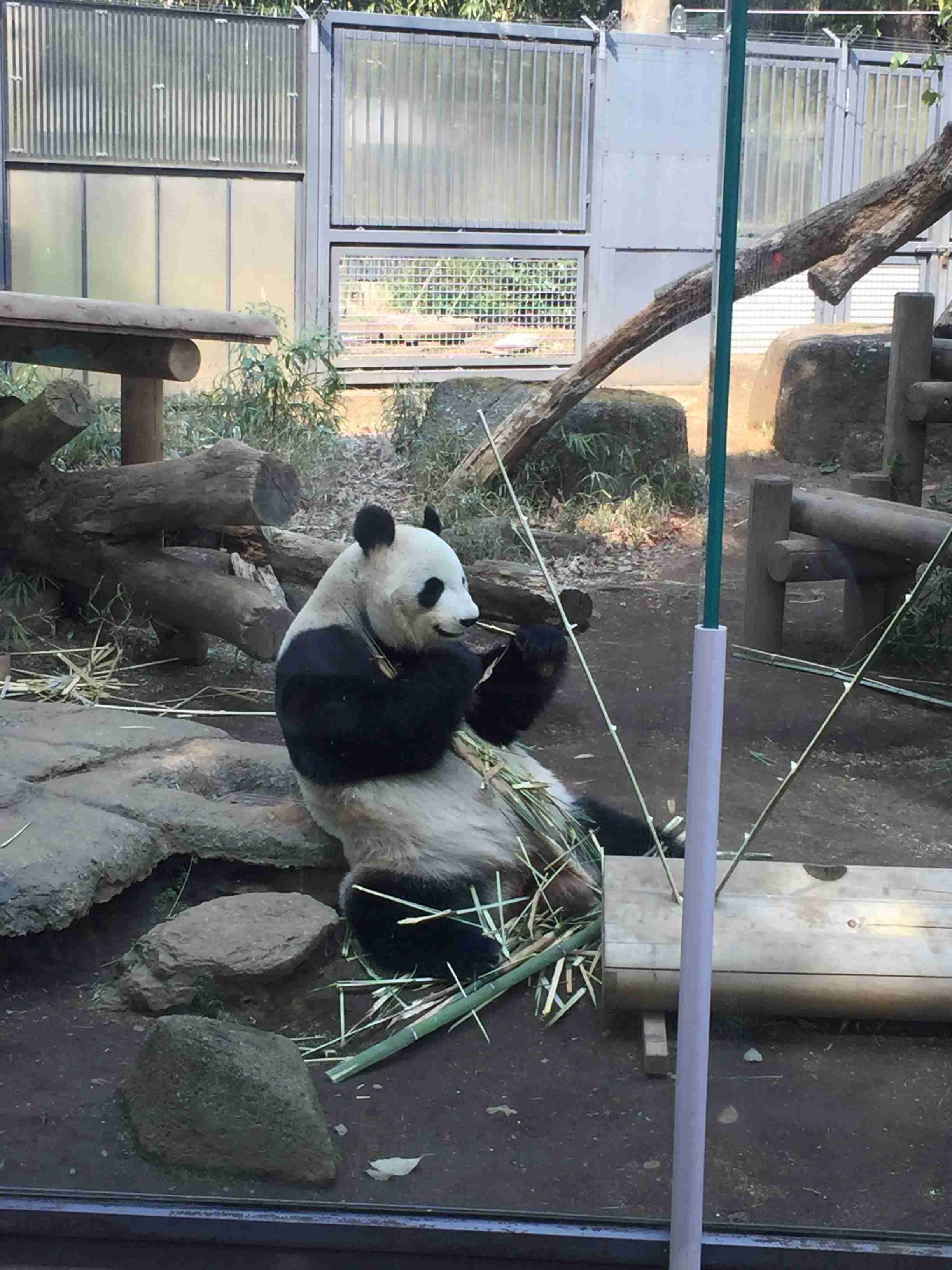 東京の画像を貼るトピ