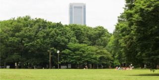 東京の画像を貼るトピ