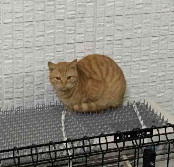 それは…ちょっと…と思う事