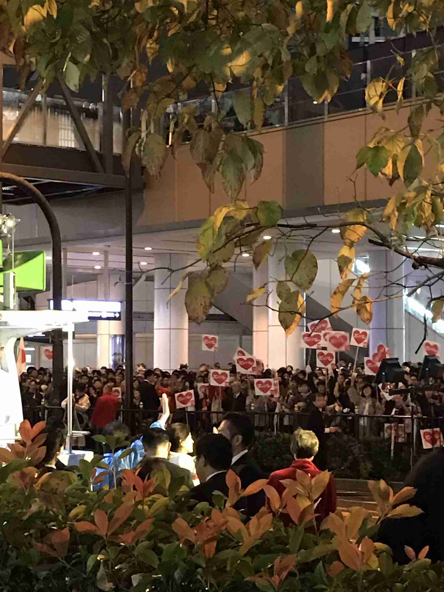 【選挙？】なんで投票に行かないの【何それ】