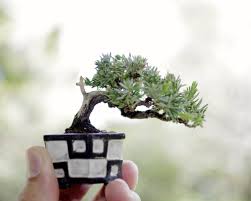 下手の横好き集まる時間です！