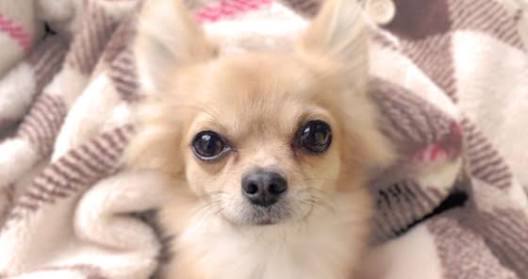 暖房費の節約方法
